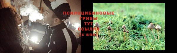 mdma Бородино