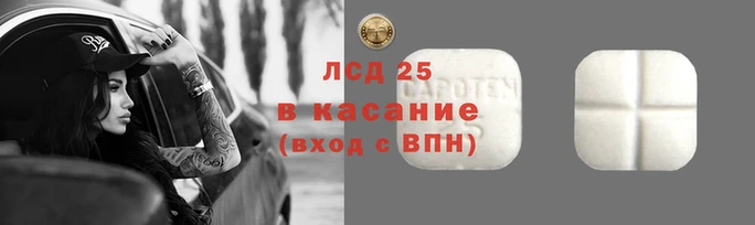 mdma Бородино